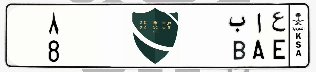 لوحة ع ا ب 8